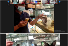 Pet Shop TK A Sekolah Islam Tugasku