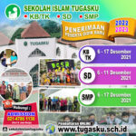 banner ppdb