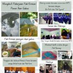 TUGASKU SMP HARI KEDUA1
