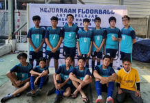 FLOORBALL.SMP