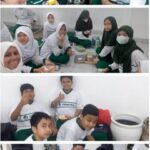 LIVE IN SMP 8
