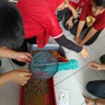 IMG-20241006-WA0018