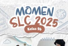 SLC di SMP