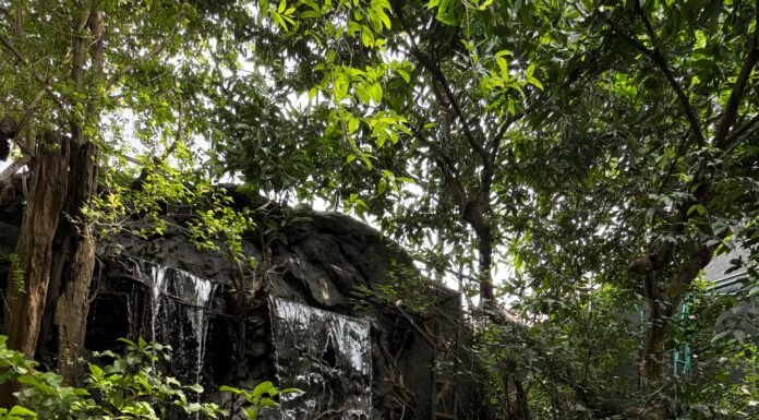 Outing ke Aviary De Hakim