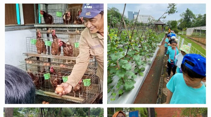 Mencintai Alam: Belajar dari Bumi dan Lingkungan