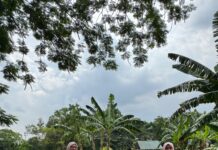 Outing TK B ke Svarga Abdi