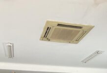 Parade Cultural Diversity