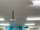As Warm as Summer, as Bright as the Sun: Menyambut Keluarga Baru SMP Islam Tugasku